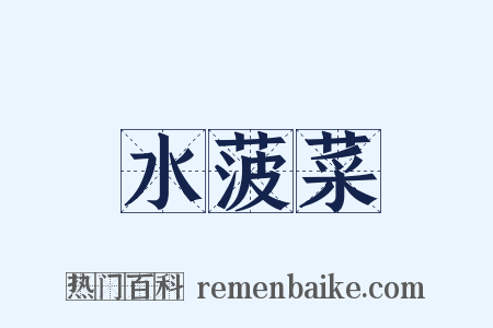 水菠菜是什么意思的图片